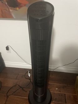 Fan