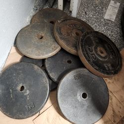 Gym Weights $40 Pair
