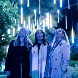 Lightscape Tickets at San Diego Botanic Garden