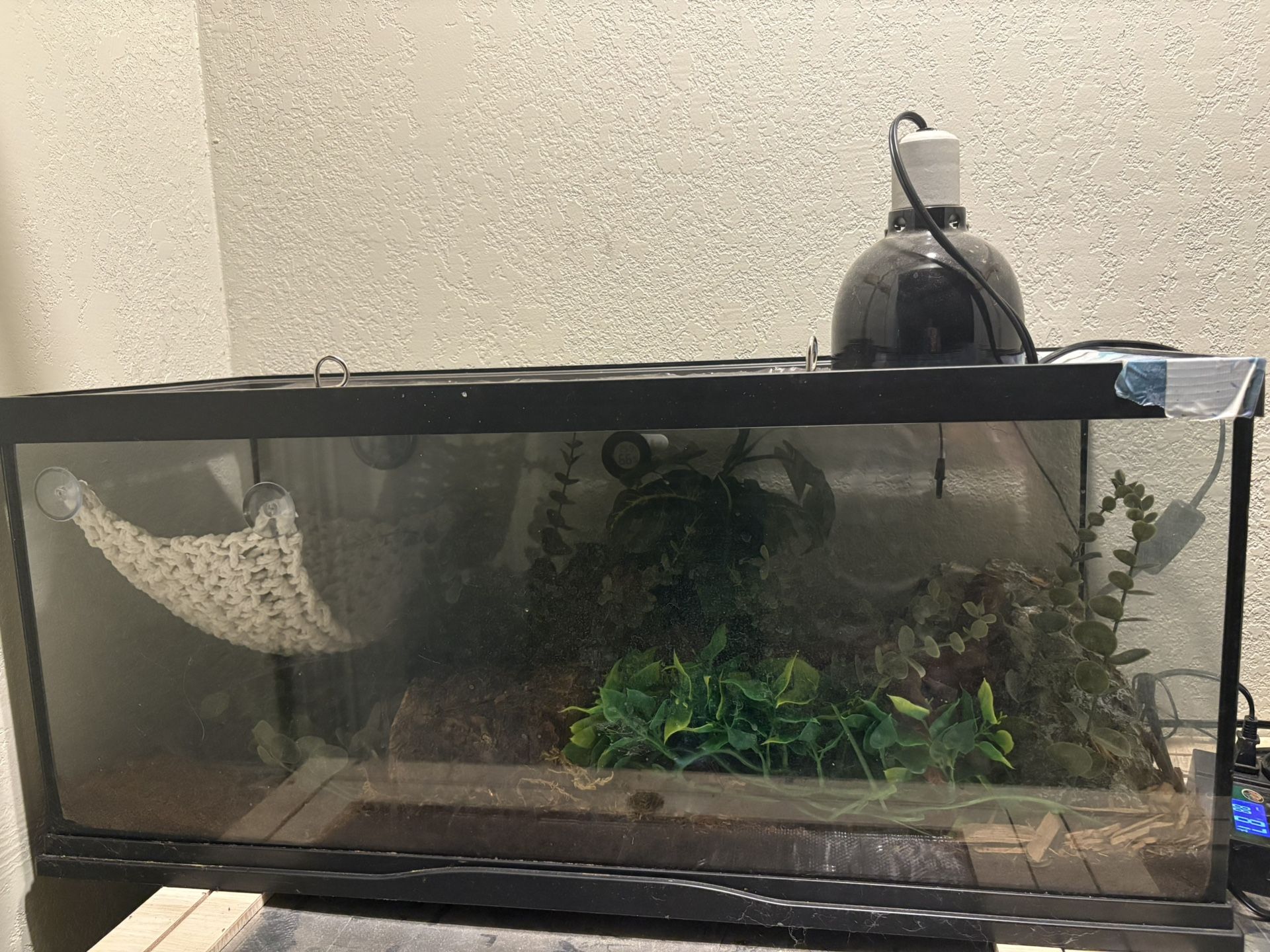 Ball Python Enclosure