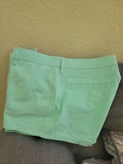 Ladies shorts Size 13.