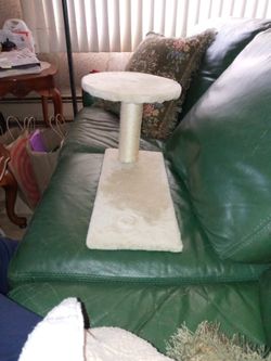 Cat Scratcher/ Lounger 