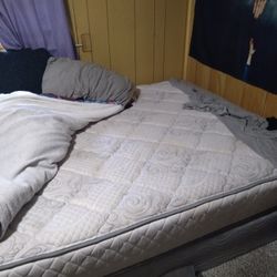 Queen Size Bed 