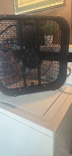 Fan