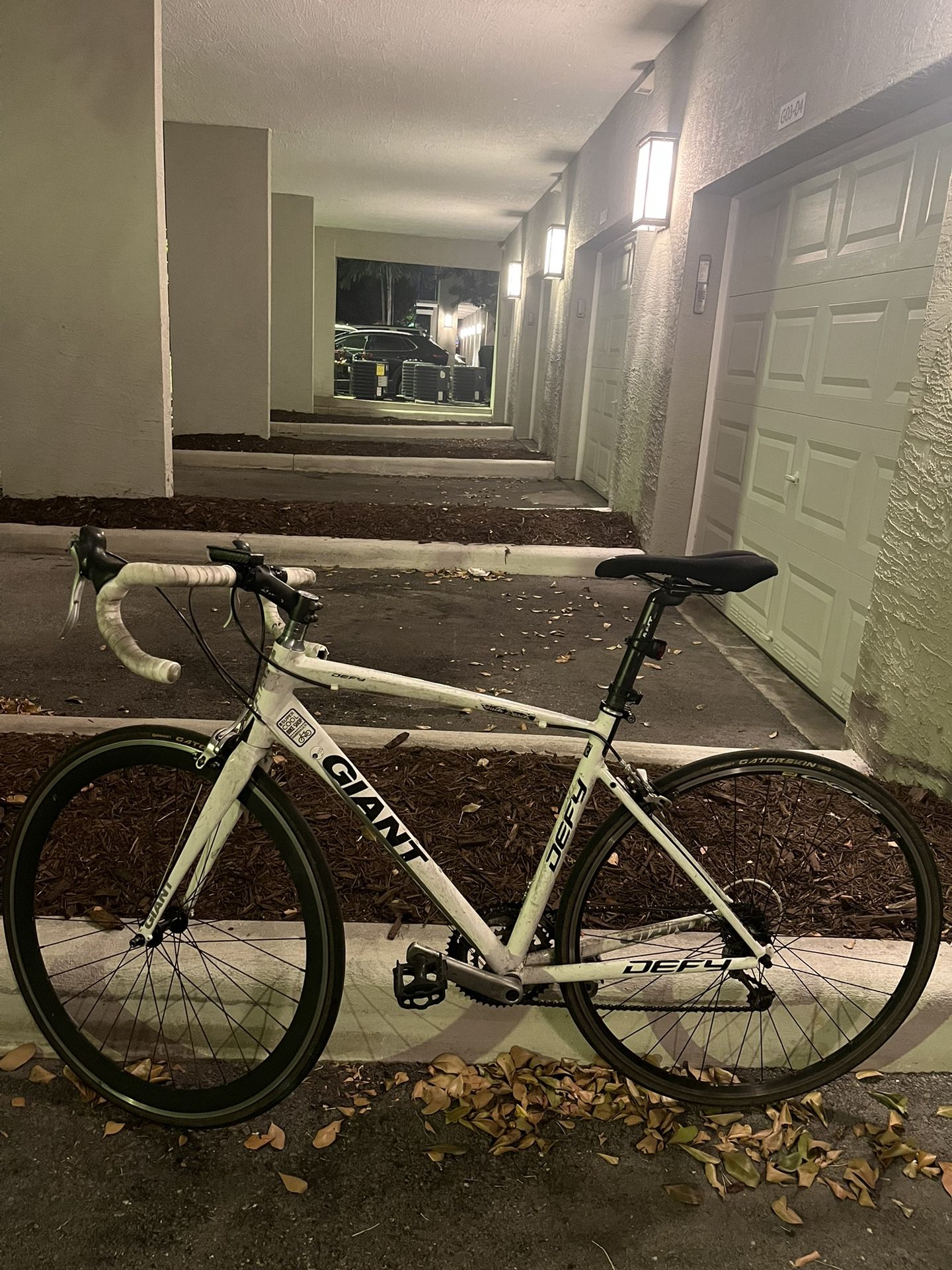 Giant Bike