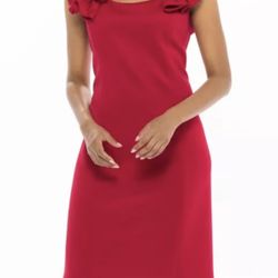 Donna Ricco. Red Dress. Size 10. Christmas Party.