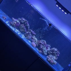 Red Sea Reefer750xxl 