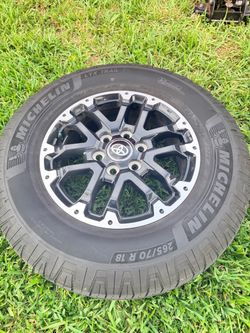 Tundra Ted 2023 rims. No scratches on great condition.