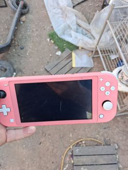 Nintendo switch lite