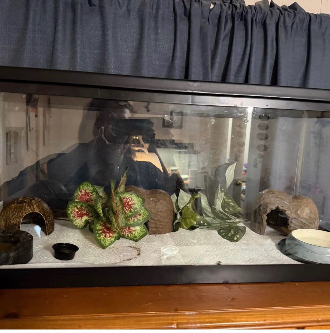 20 gallon tank with screen lid only