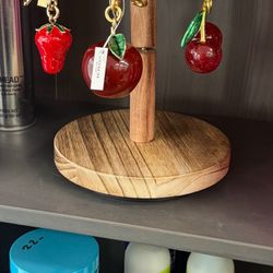 Coach Bag Accessories 