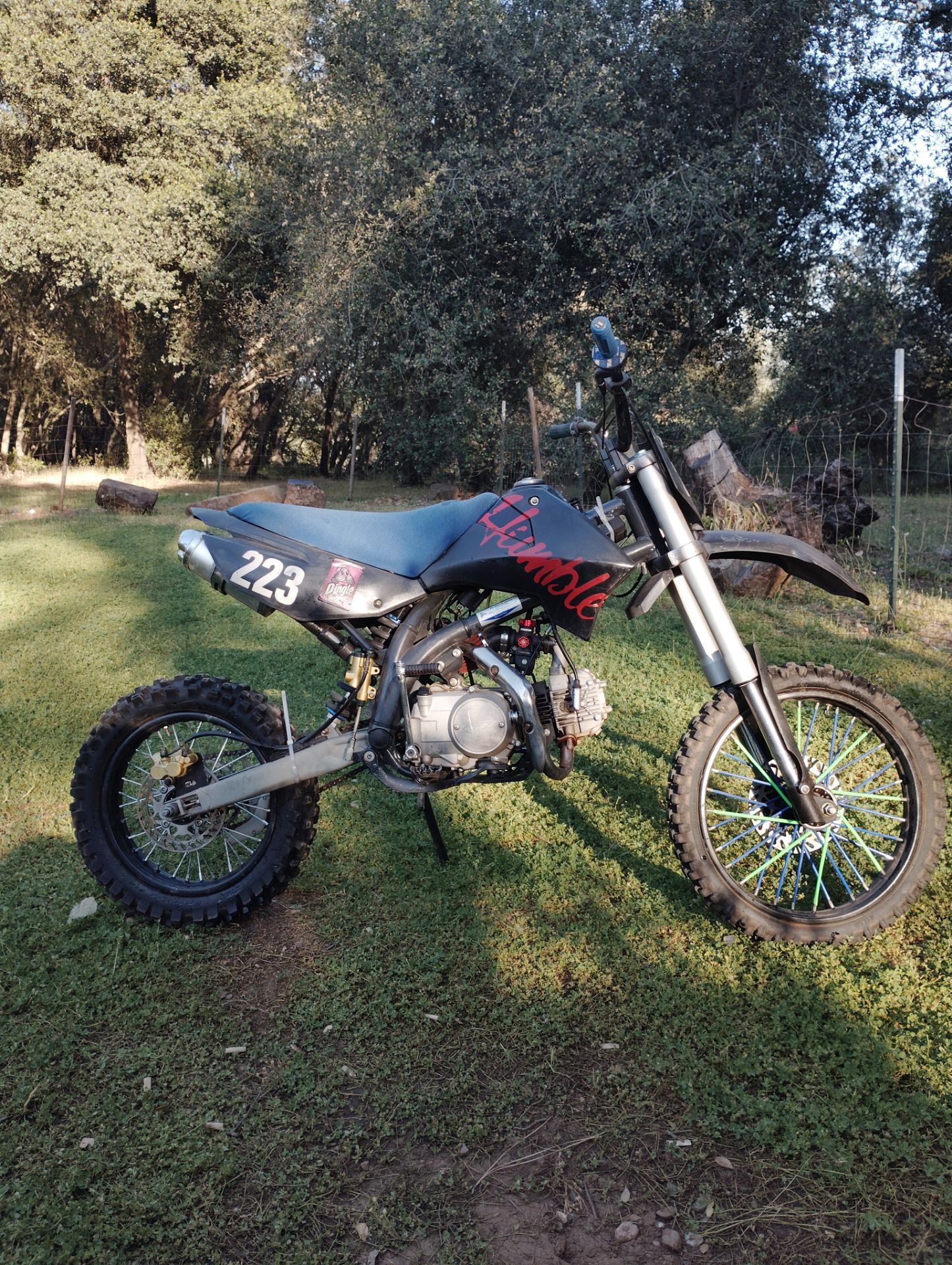 125 Apollo RFZ racing pit bike
