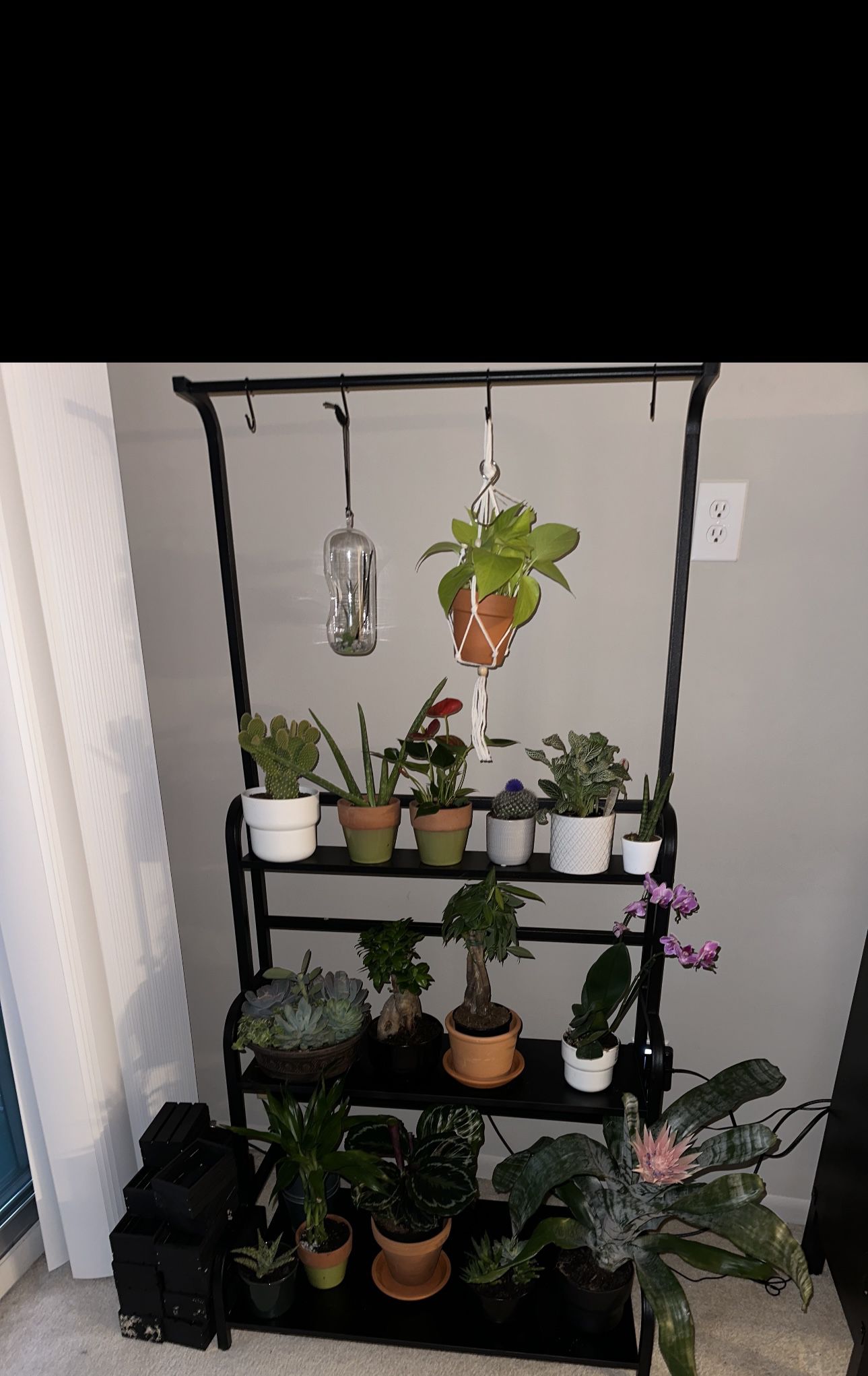 Plant Wall/ Plant Shelf