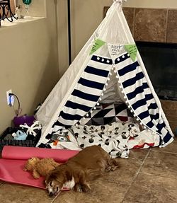 Pet Tent/child Tent Navy Blue Stripes !