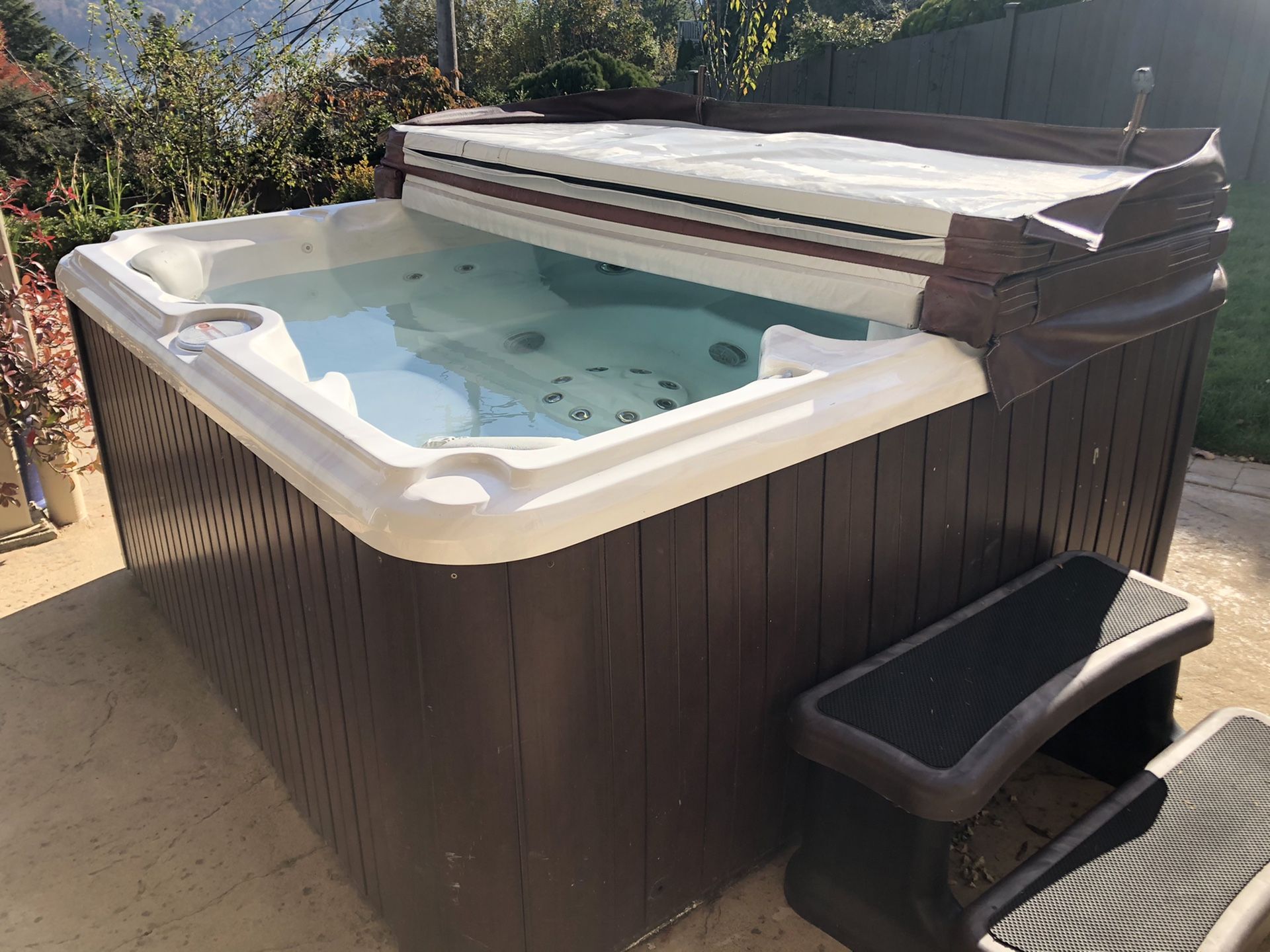 Sundance hot tub for Sale in Seattle, WA OfferUp