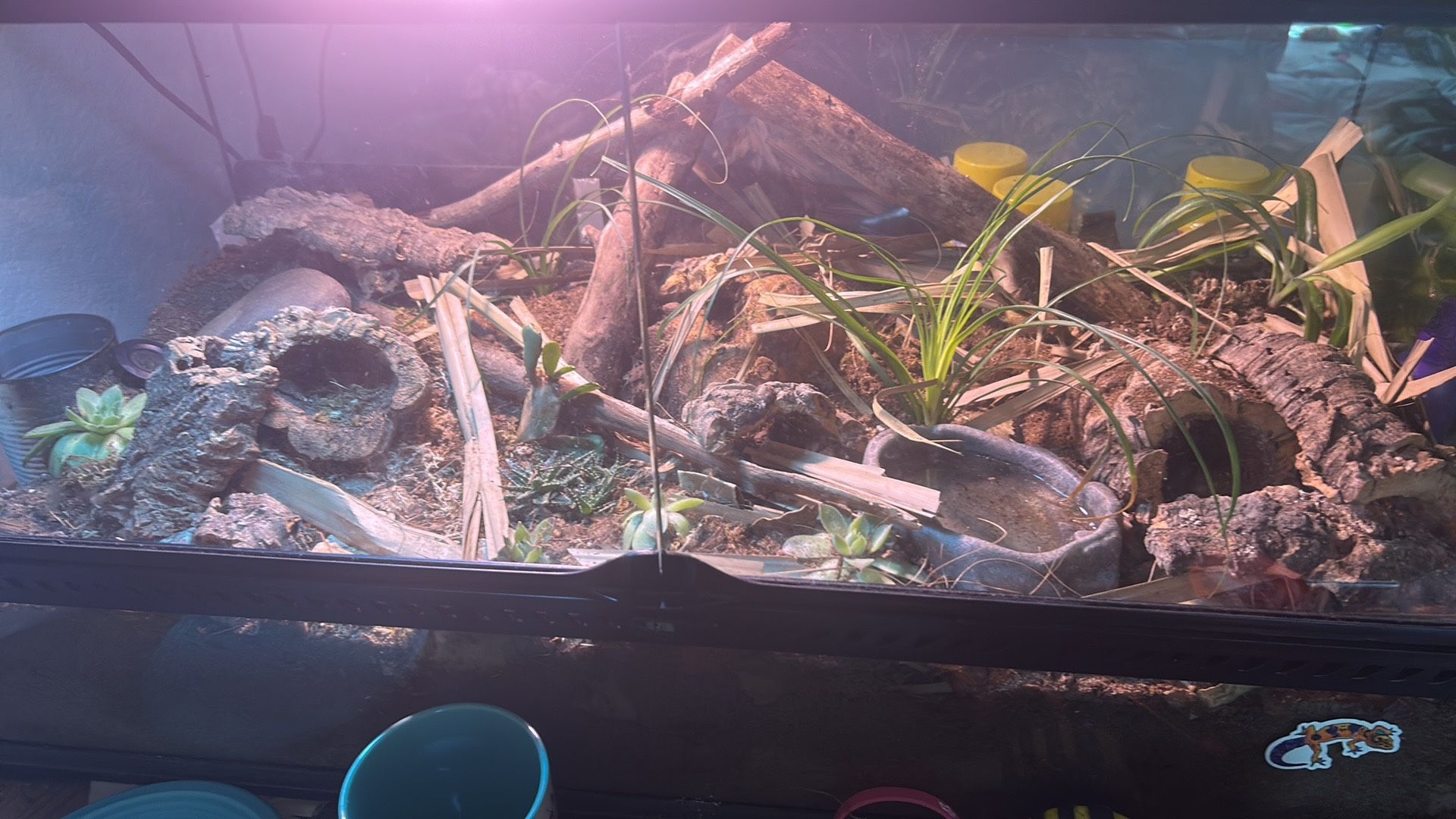 Bio Active Tanks Natural