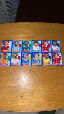 Panini fifa World Cup blue border stickers