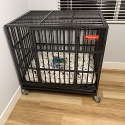 Large Dog Kennel