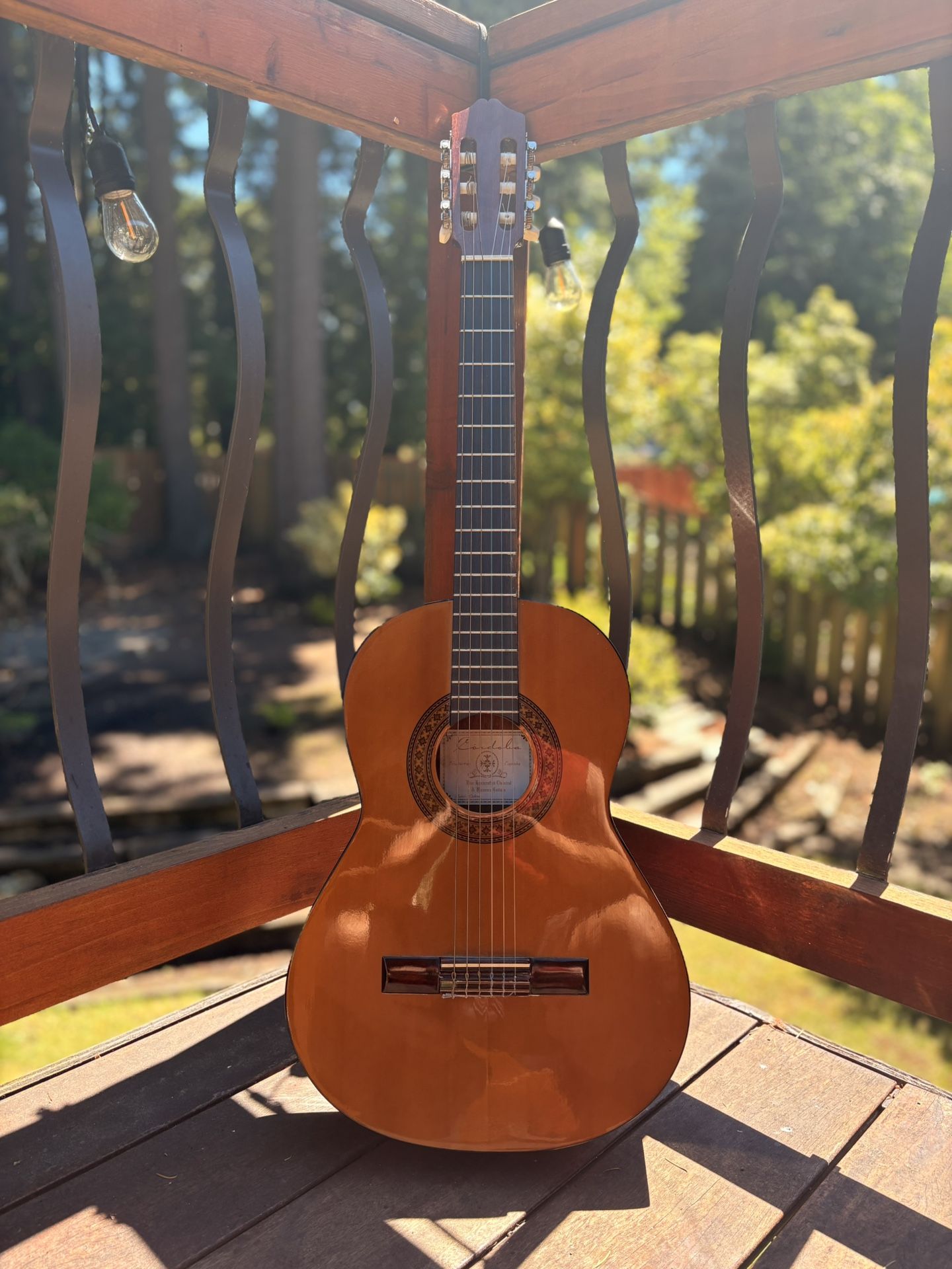 Cordoba Guitar