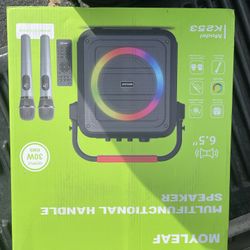 Karaoke Machine for Adults & Kids