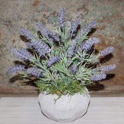 NEW French Country Farmhouse Cottage Summer Lavender Arrangement in Concrete Pot