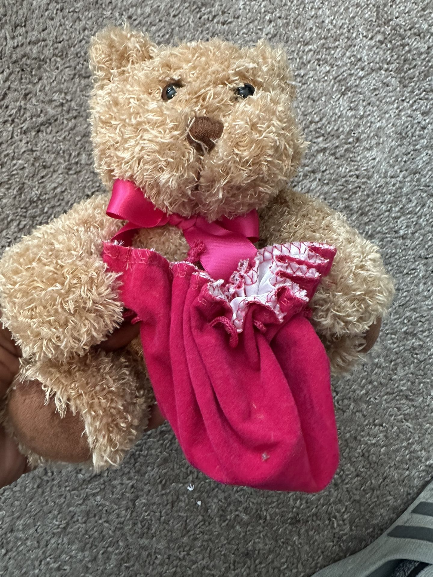 Teddy Bear Gift Holder