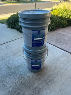 Interior White Egg Shell Paint - 10 gallons available
