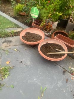 Pots for sale