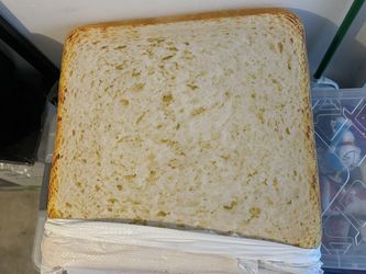 Bread Cat Bed