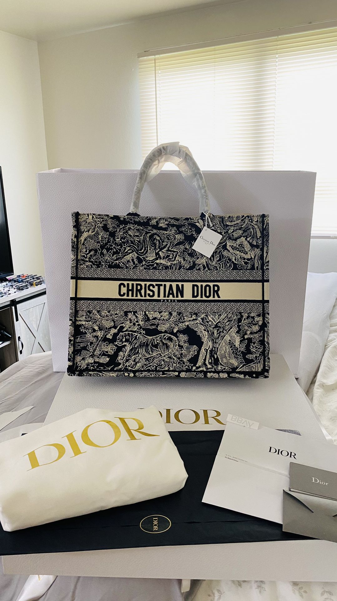 Dior Box Tote Bags