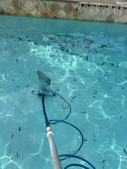 Pool Guy Vacuum Service