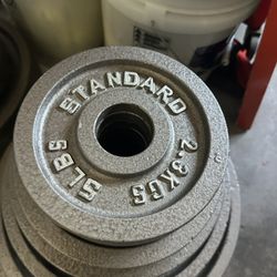 5 LB Weights 