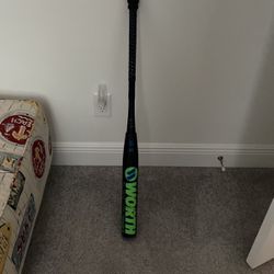 Worth At18 Softball Bat