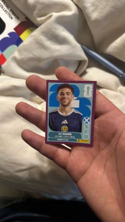 FIFA World Cup stickers