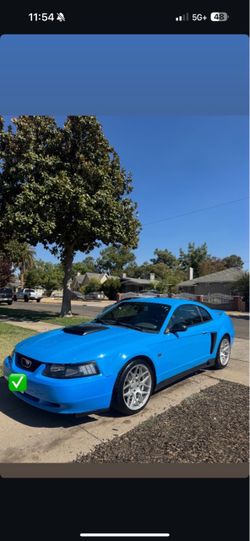 Mustang gt
