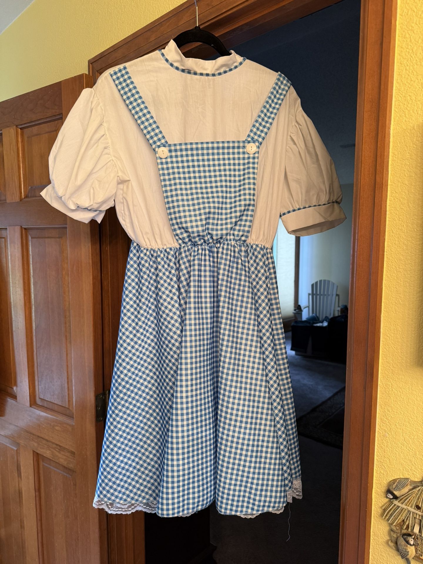 Adult Dorothy Dress Size XL ( Feels More Like A 1X)