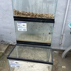 Fish Tank 