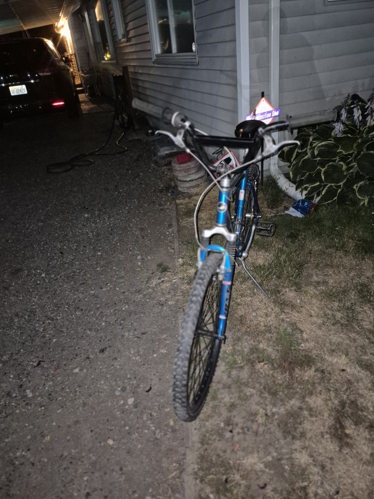 Giant Mountain Bike