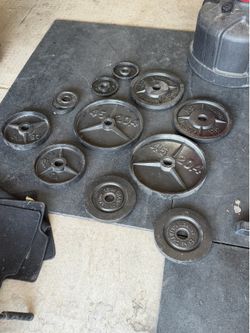 Weights… 2 of 45lbs, 2 of 35lbs, 4 of 25lbs,  2 of 5lbs, 4 of 2.5lbs