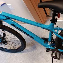 Brand New Bike