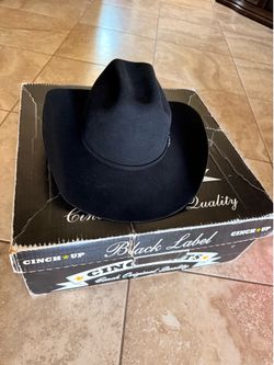 Cinch Felt hat