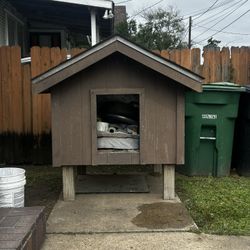  Casa De Perro