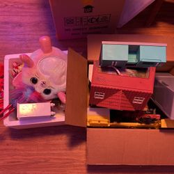 Boxes Full Of Girl Toys 