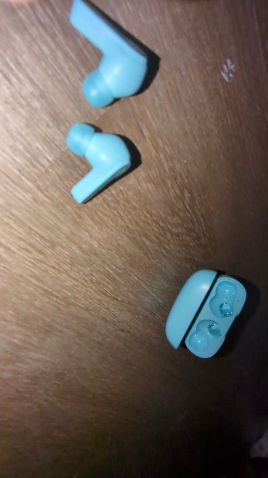 JBL Earbuds