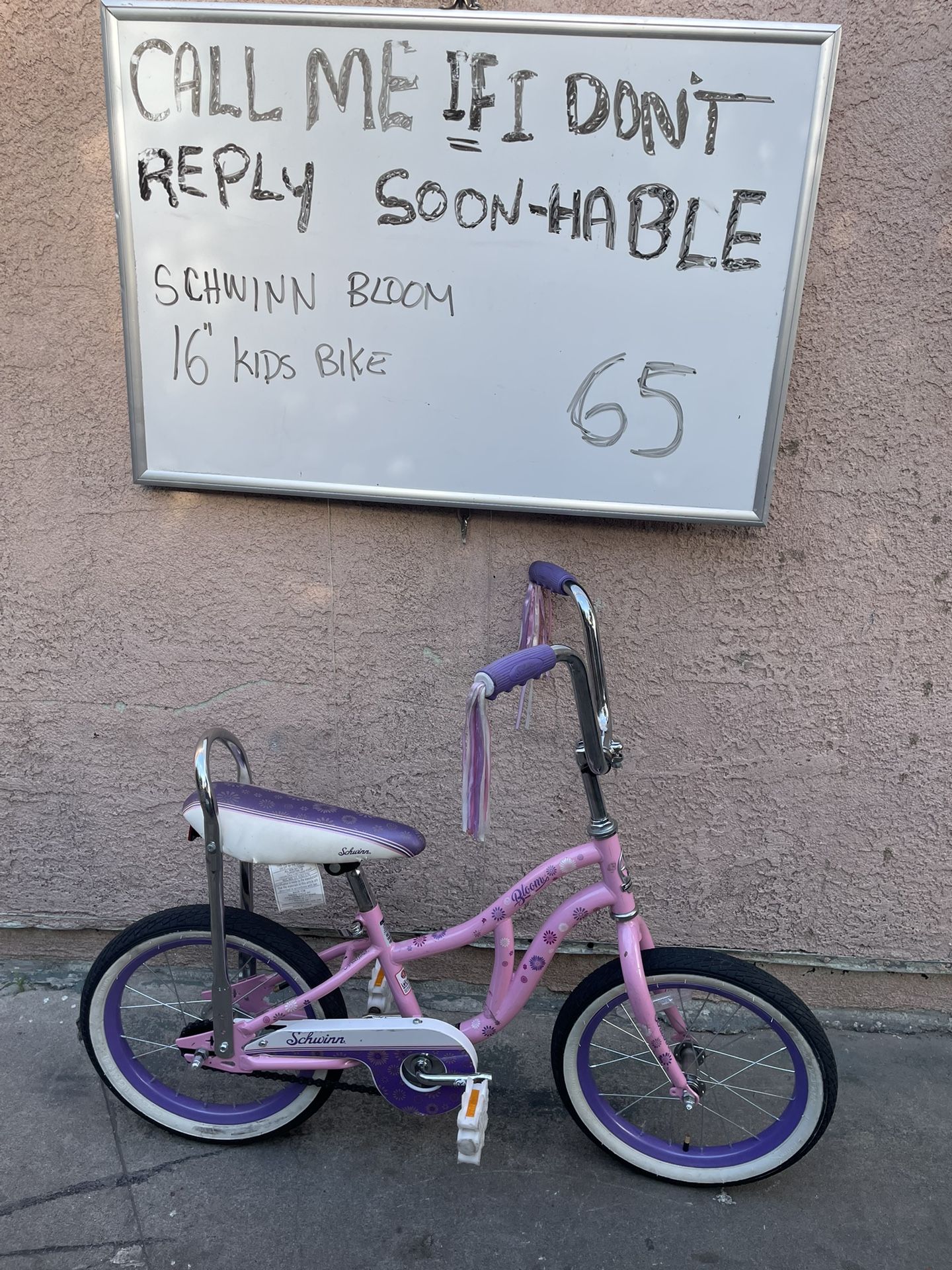 Schwinn Kids Bike