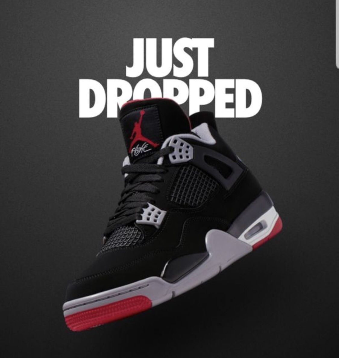 2019 Jordan 4 Bred