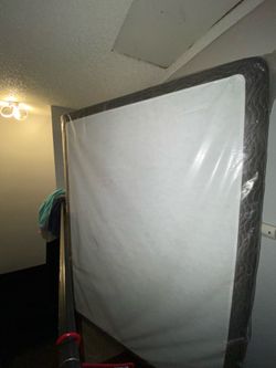 Queen sized boxes spring