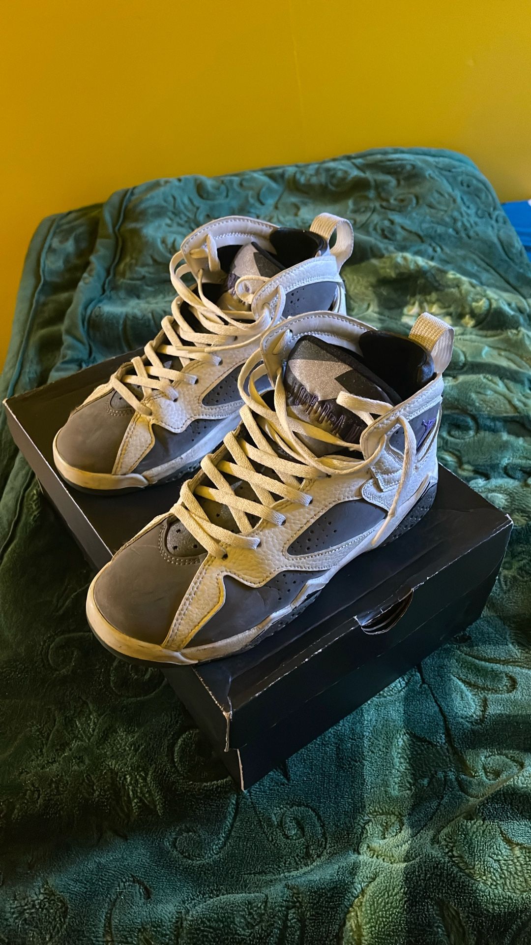 Air Jordan 7 Retro