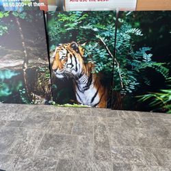 3 Tiger Poster 