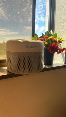 Bonaire Air Purifier